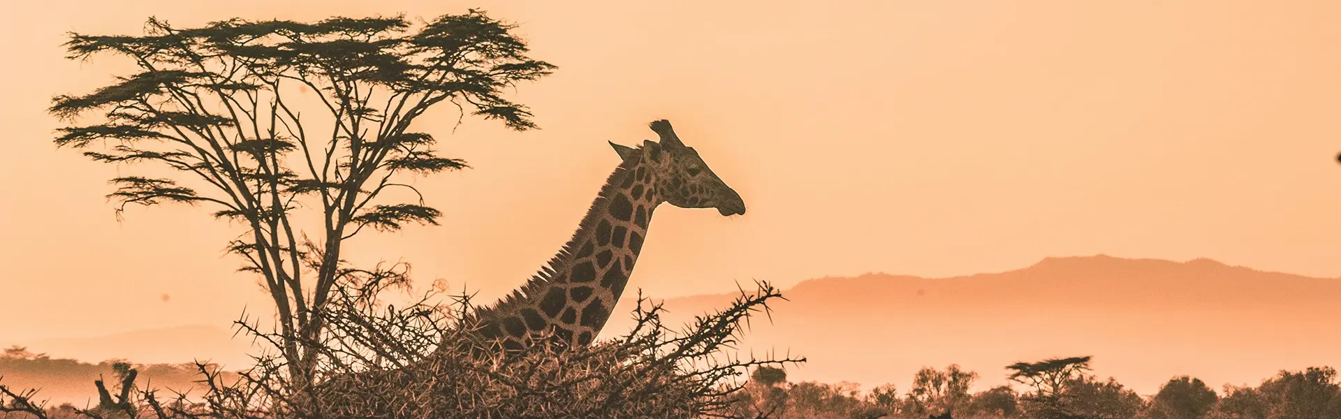 Aventura por el Sur de África