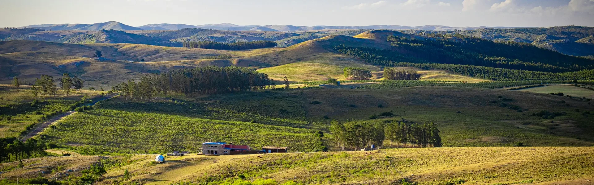 campo uruguay